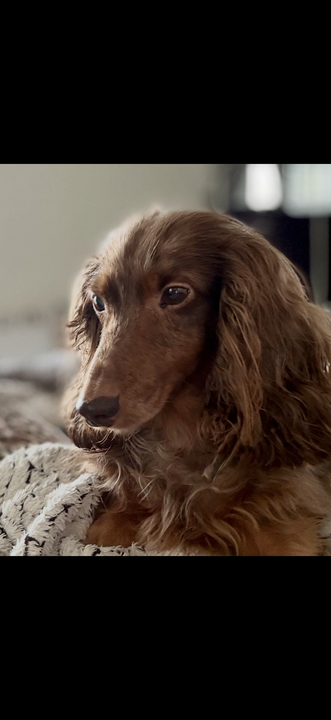 [Image: IMG-4852.png]