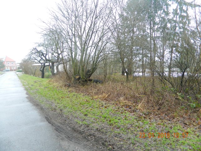 [Bild: DSCN2514.jpg]