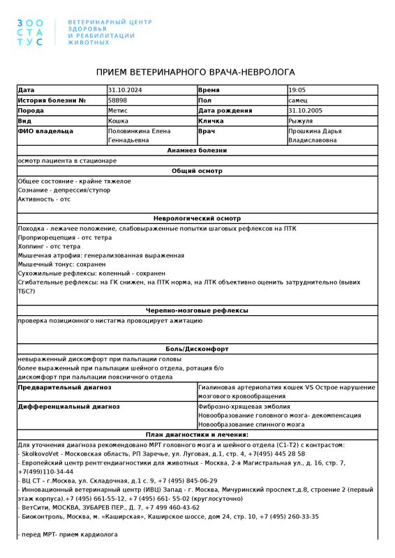 PRIEM_VETERINARNOGO_VRACHA-NEVROLOGA_1730838384