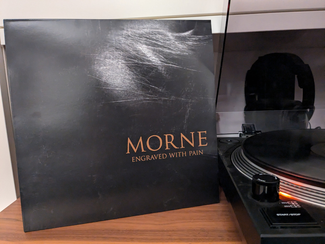 PXL_20241115_213452650