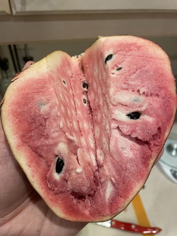 0A0CEA5E-2DBB-4877-9D7F-C2C0E26BE47B