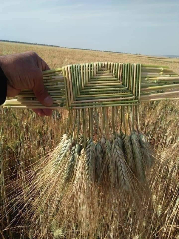 صورة