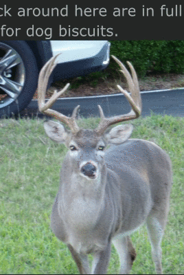 536824-FB-1-D07-4501-AD4-F-D372-F899-FA77.gif