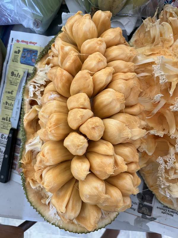 8699A4EA-3DC4-4633-B41F-A634CA2BBF53