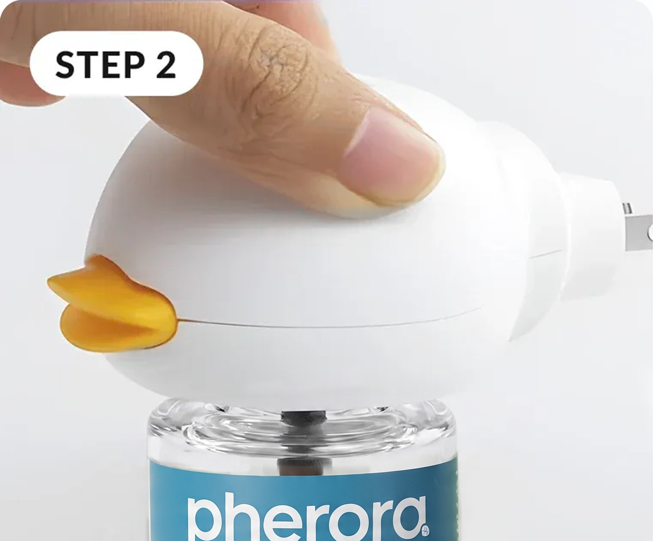 Step 2 — find the perfect spot