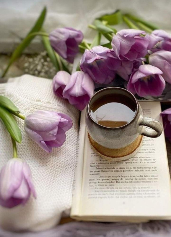 Screenshot_20230322_230733_Pinterest