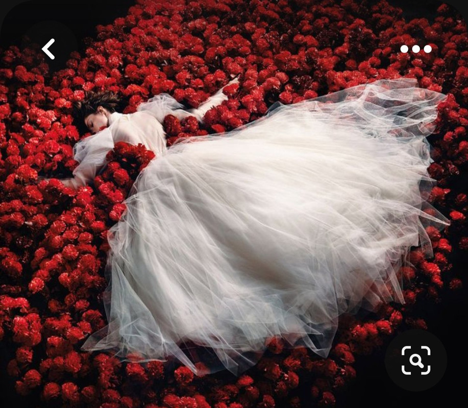 Screenshot_20230805_211716_Pinterest