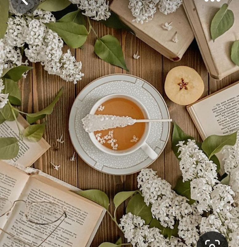 Screenshot_20230807_001532_Pinterest