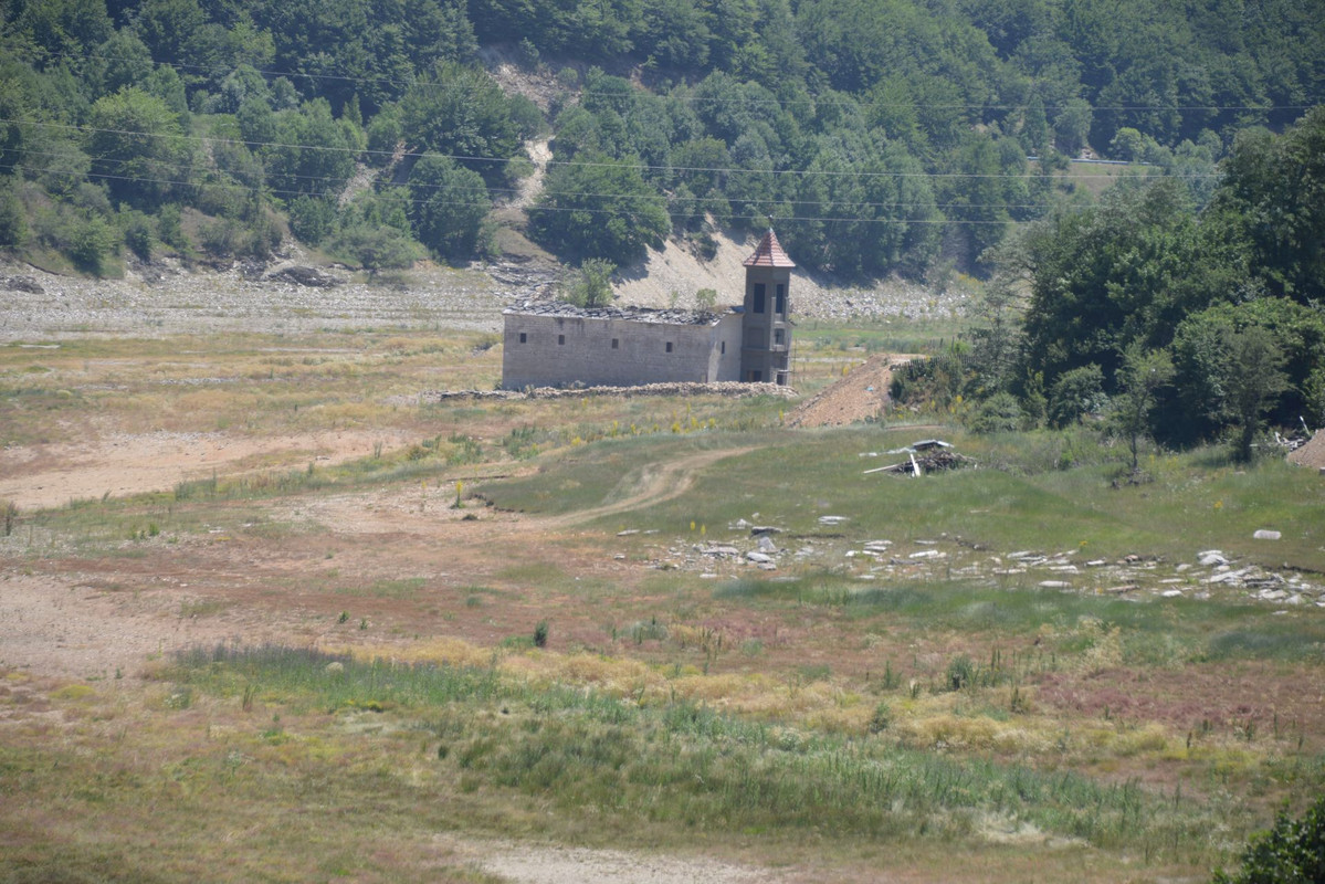 DSC-9667.jpg