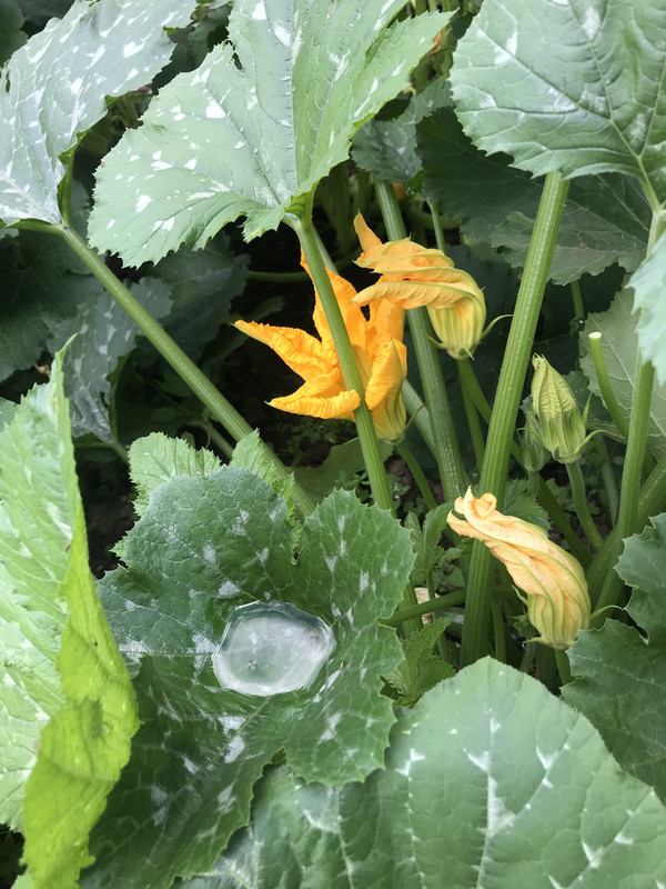 76C7EF69-3888-46BA-92AB-A1912B8FE175