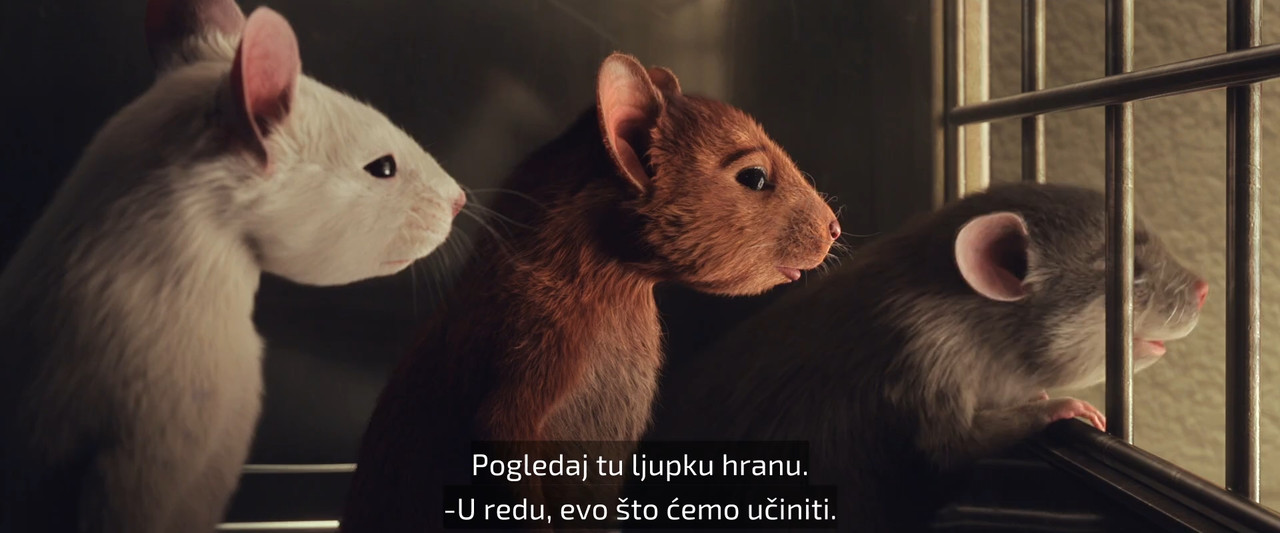 The.Witches.2020.1080p.BluRay.x264.[ExYuSubs]