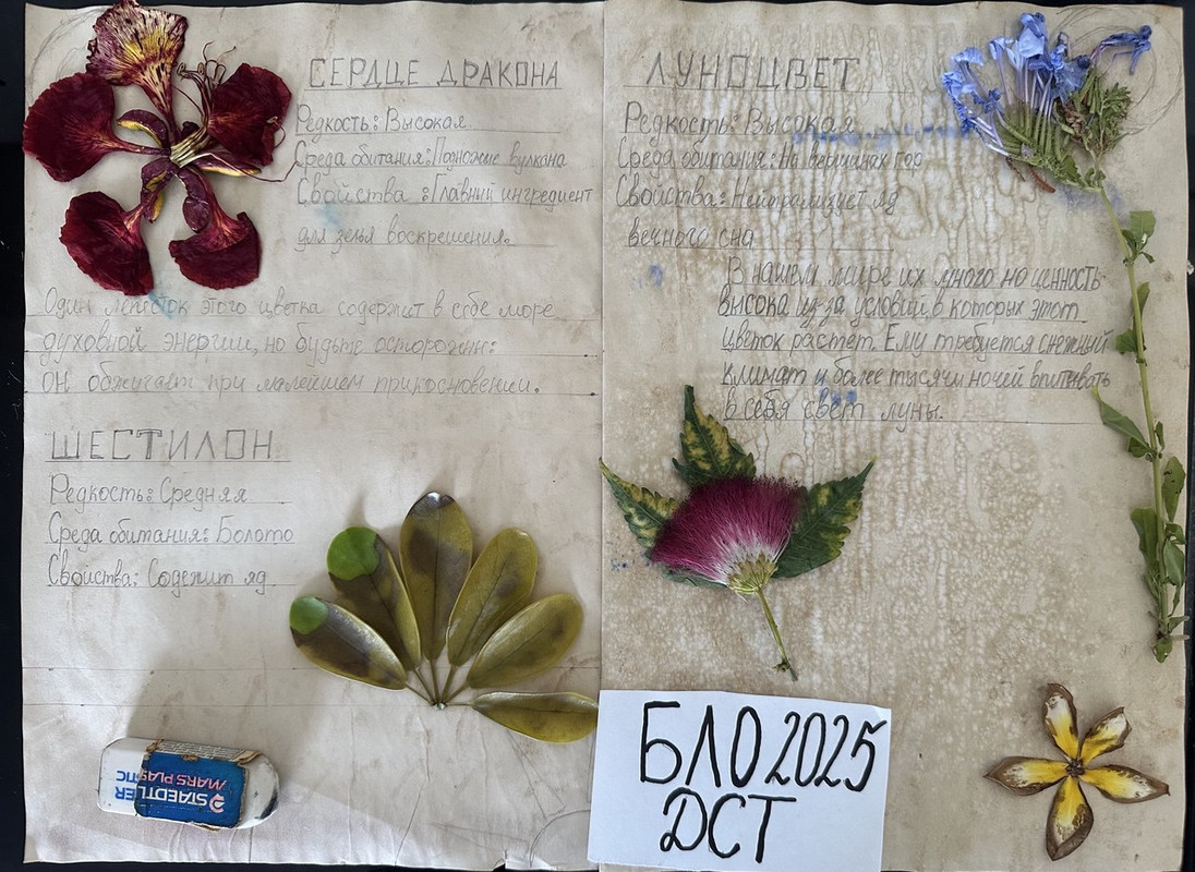 Гербарий процесс 3