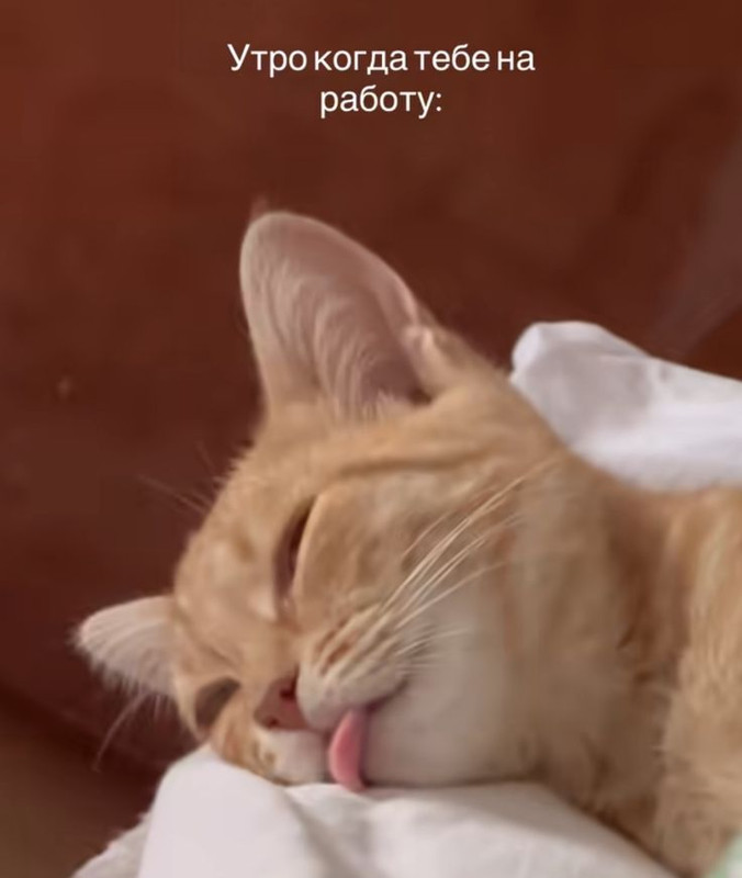 3d15df1bc35bea51b56d5a12d433e066