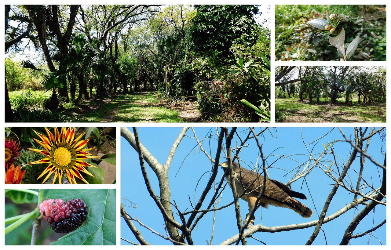 There is so much natural beauty that it is impossible not to admire it [Esp/Eng].