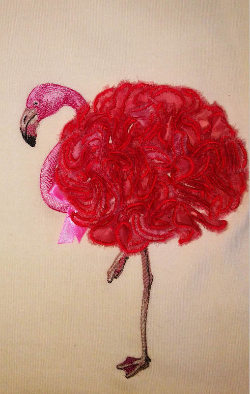 IMG_20171020_092027  (1)