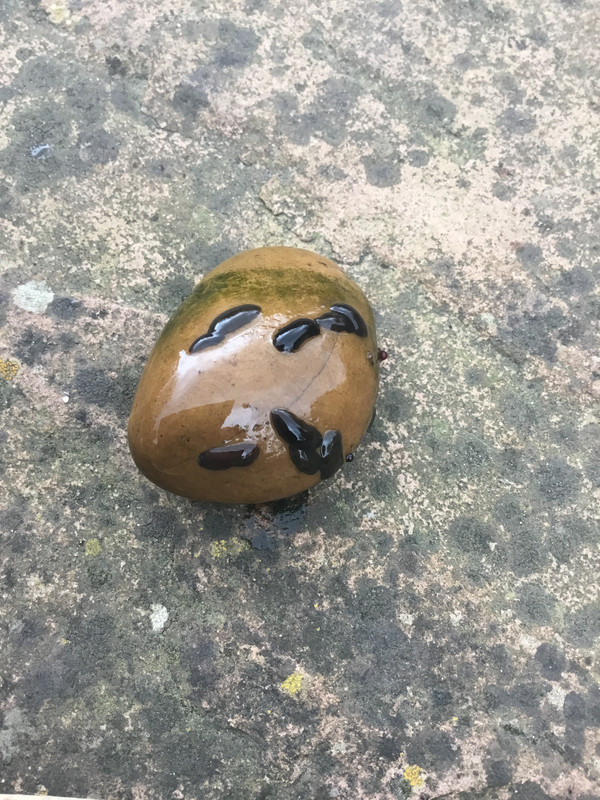 0A9EB17F-EFD6-4344-9430-01A6B64A60C1