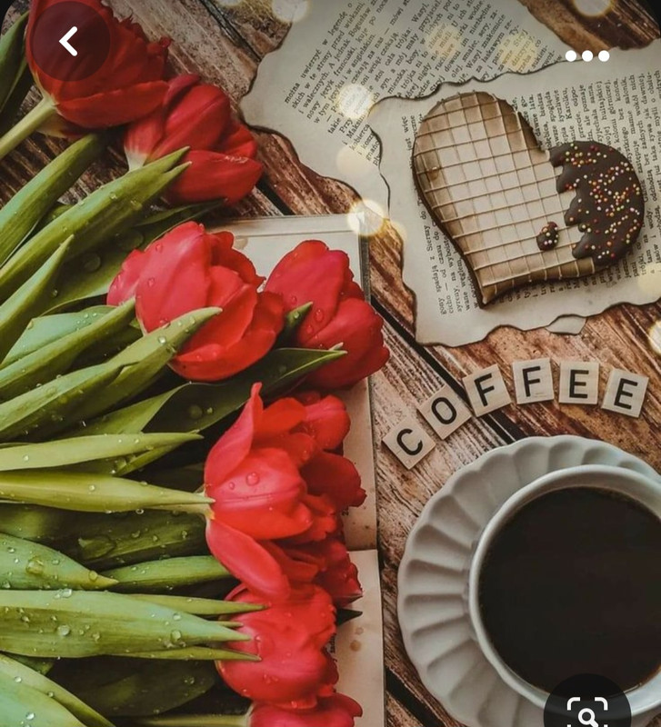 Screenshot_20231031_164508_Pinterest