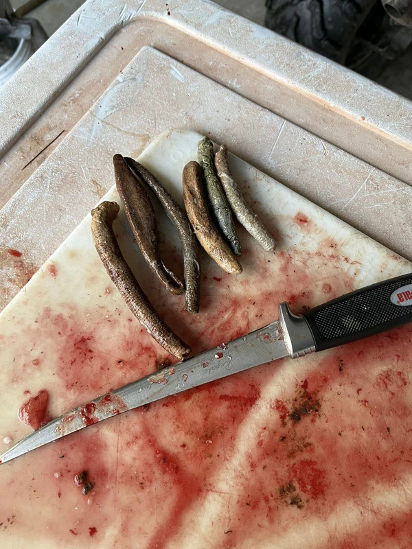 senkos