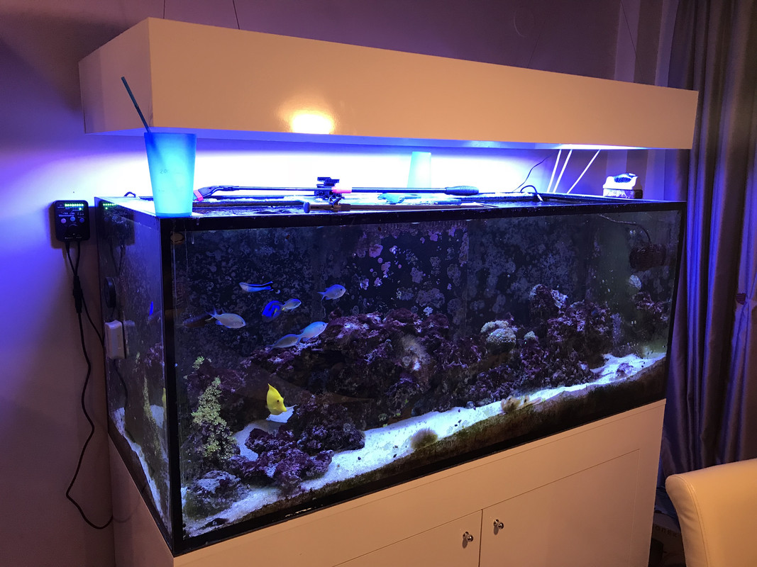 QW0yASe2Q2qaud7ykqFkwg