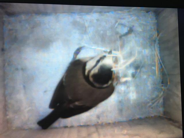 35D7D183-62CD-46CF-ADB8-623700403C16