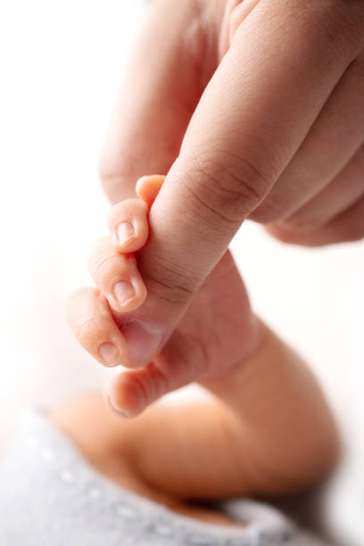 istockphoto-1411066523-612x612.jpg