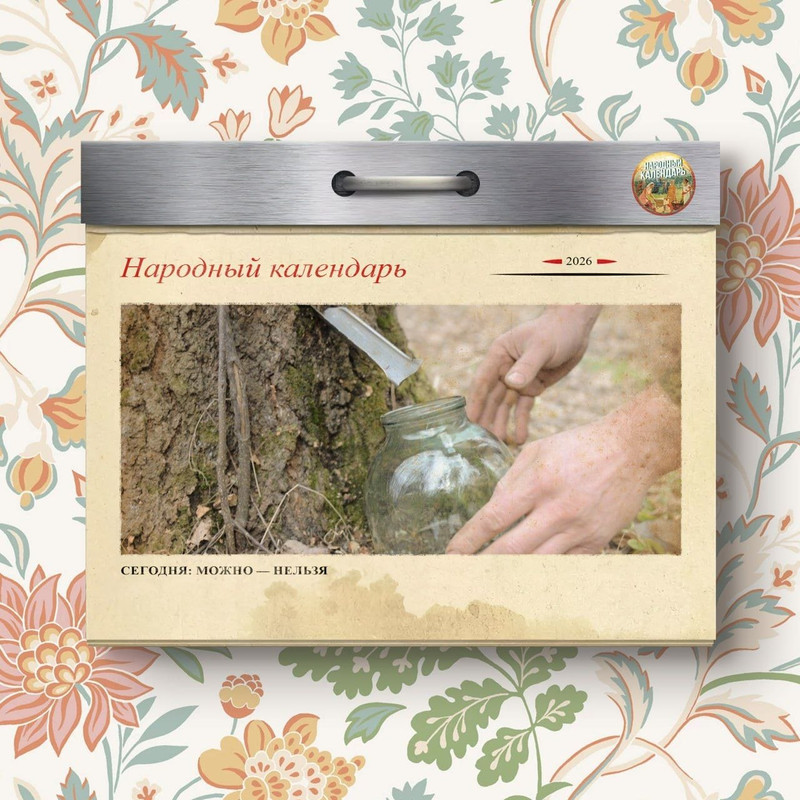 [Изображение: photo-2026-03-29-08-33-39.jpg]