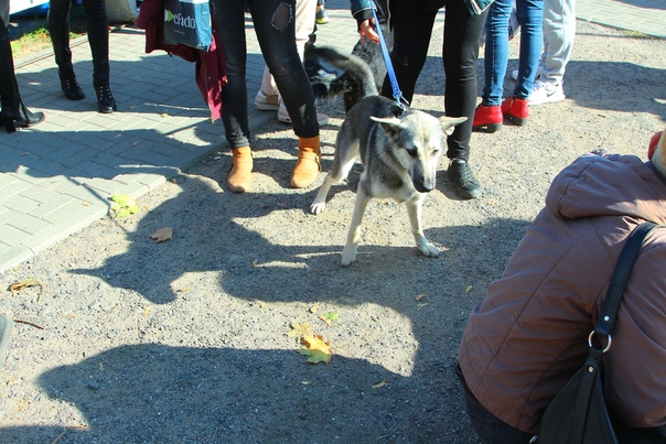 0491D331-0670-4D37-8E56-B0446183F743