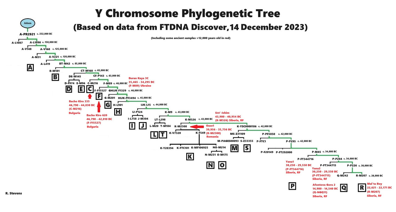 [Image: Y-DNA-Phylogenetic-Tree-w-dates-ancient-...s-2023.jpg]