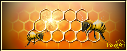 Last-Bee-with-Frame.png
