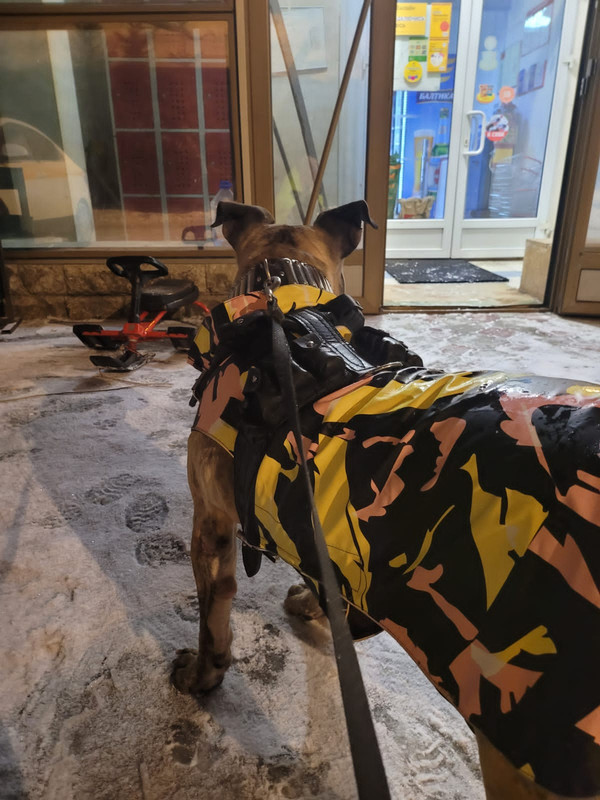 4DBA8451-F8E6-48AC-A91A-F481ACD7AC39