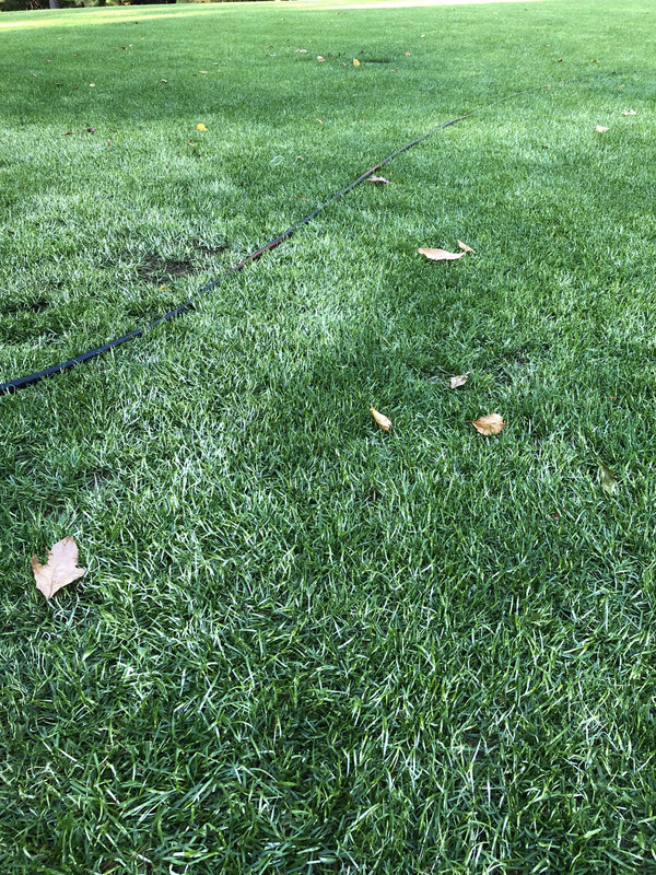 BD18ACF9-B3DD-48EB-9941-C18691543C9A