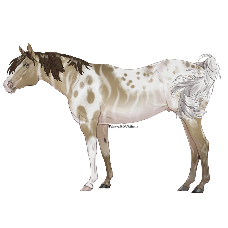 Untitled88-20250615172225.png