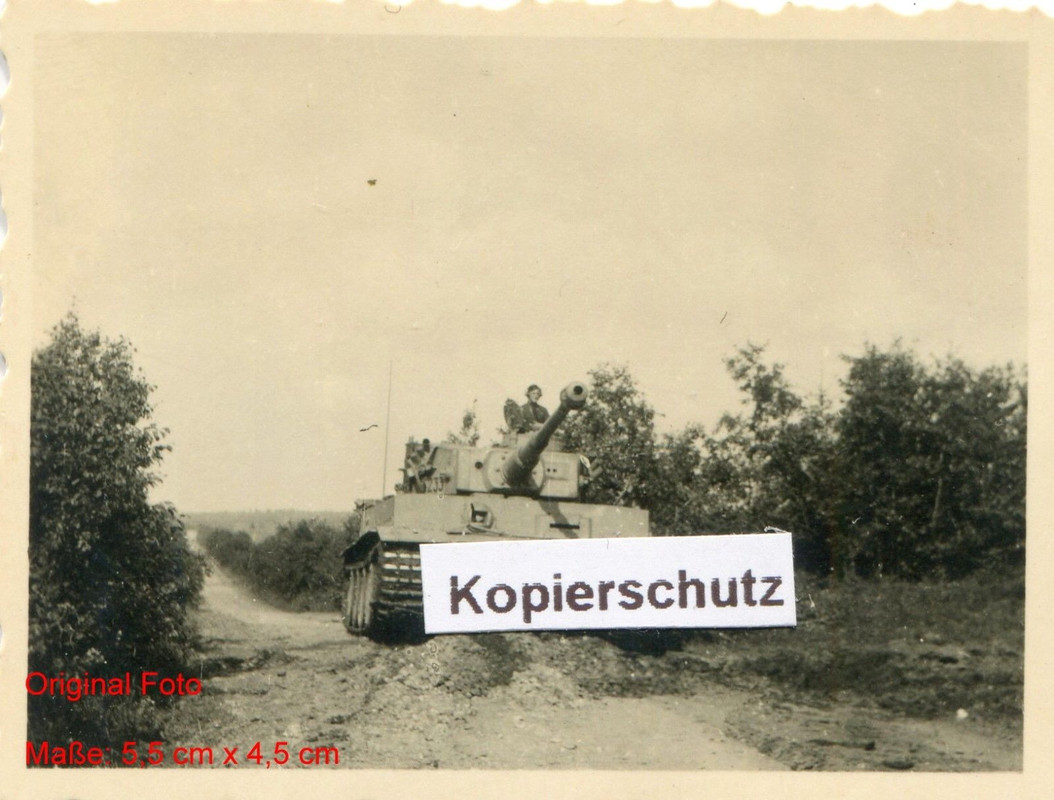 TIGER schwere Panzer-Abteilung 502 im Gelände