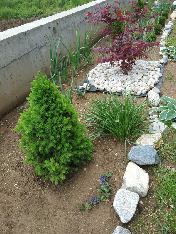 IMG_20210518_112729 (1)