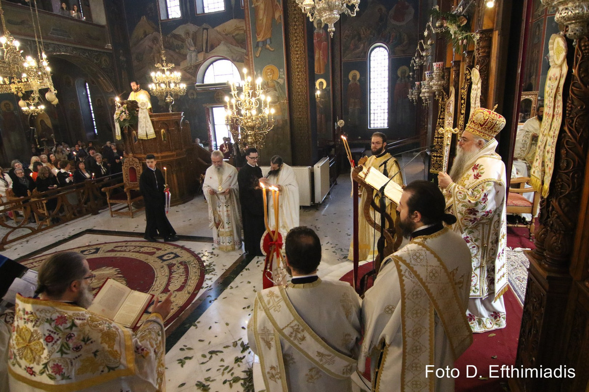 IMGL3646 (Αντιγραφή)