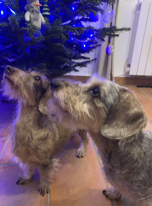 [Image: A4-A48-AE4-2-EAF-4-ABC-A807-401-E8817-DC2-C.jpg]