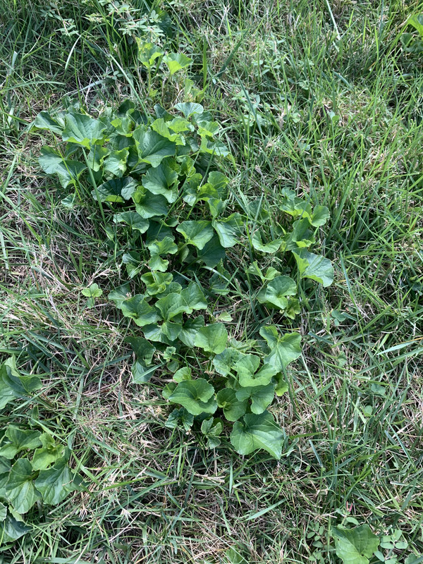 829928B2-EF2D-4328-AF2F-3BEC62181520