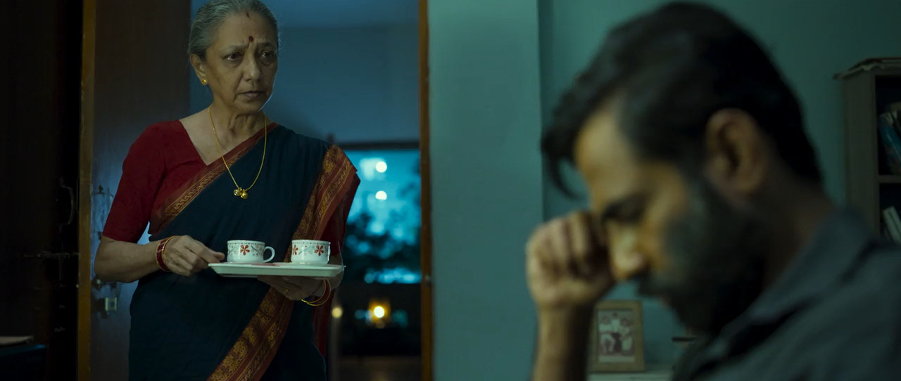 Legally Veer 2025 WebRip [Hindi + Telugu] 480p, 720p ESub Screenshot
