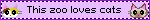 catzoo2
