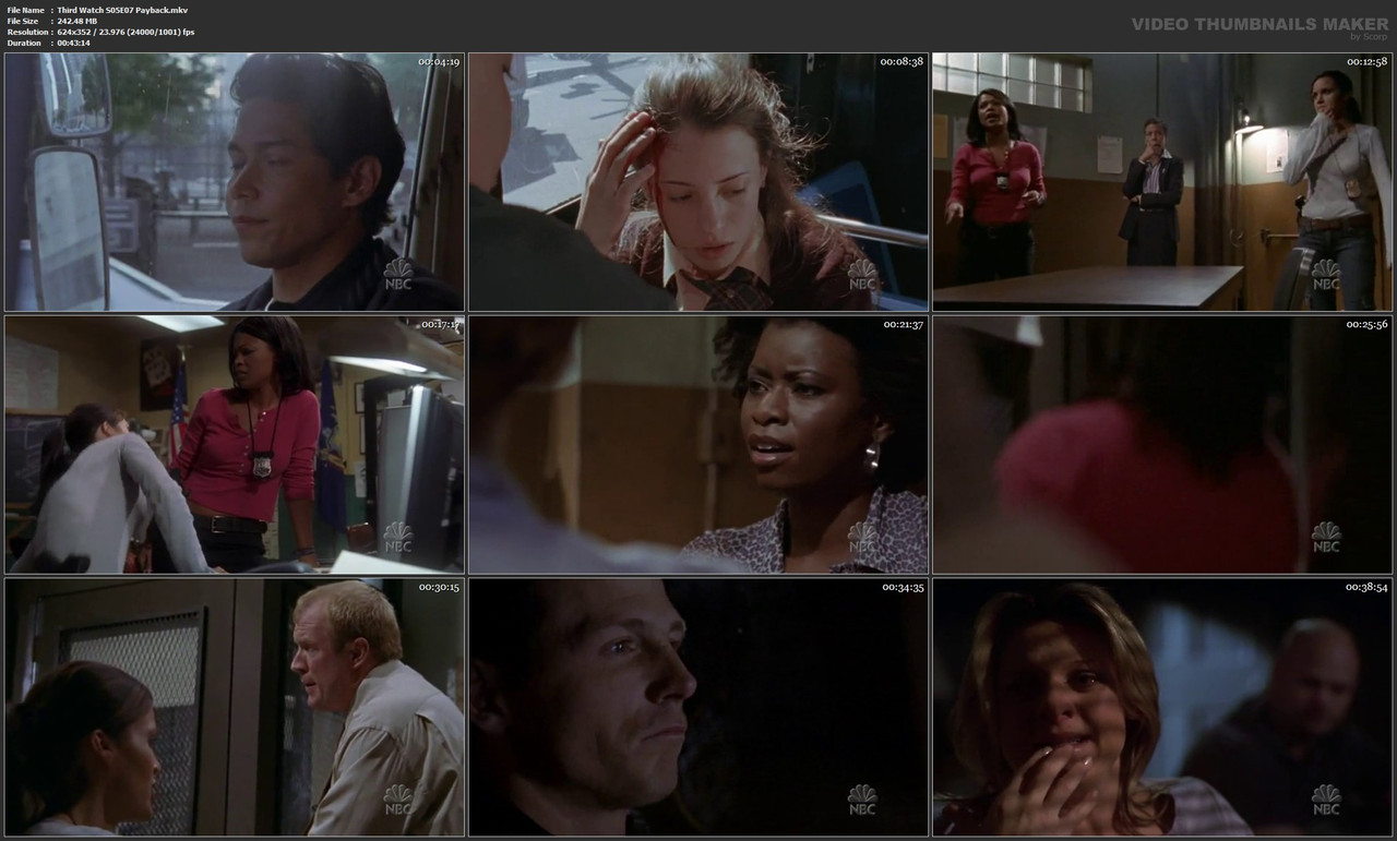 Third Watch S05E07 Payback.mkv
