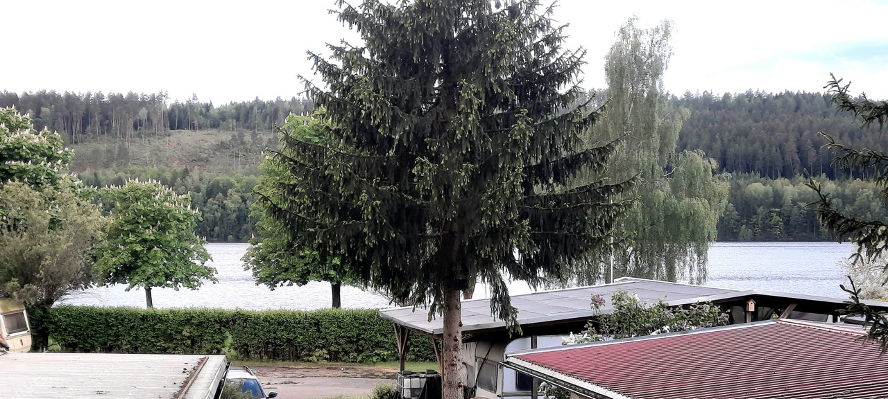 IMG 20260514 WA0021