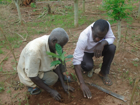 Permaculture Made Easy! A Design Course for Sustainability!