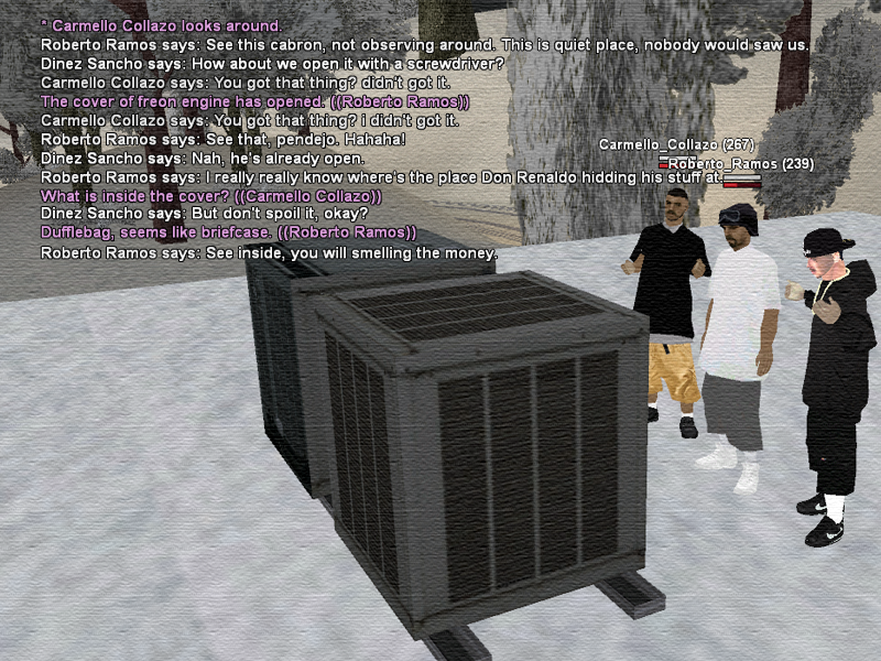 SSRoleplay247.png