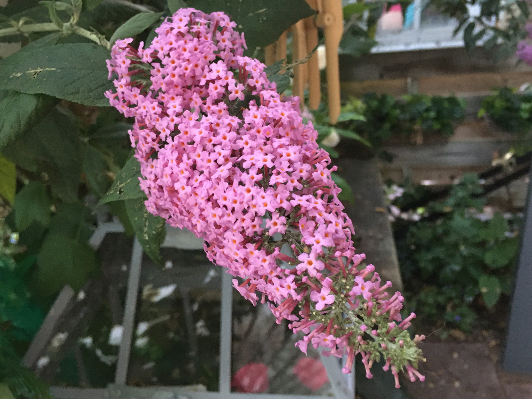 0F9E8F2B-0C5C-443D-B0FB-65A6637E9D1D