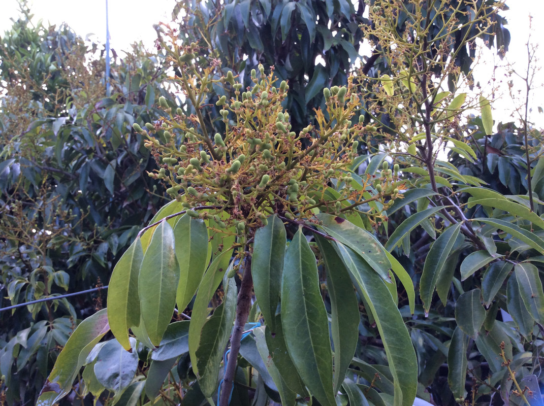 EDF1BEAB-DB31-471B-8BD2-FB1A458418D3