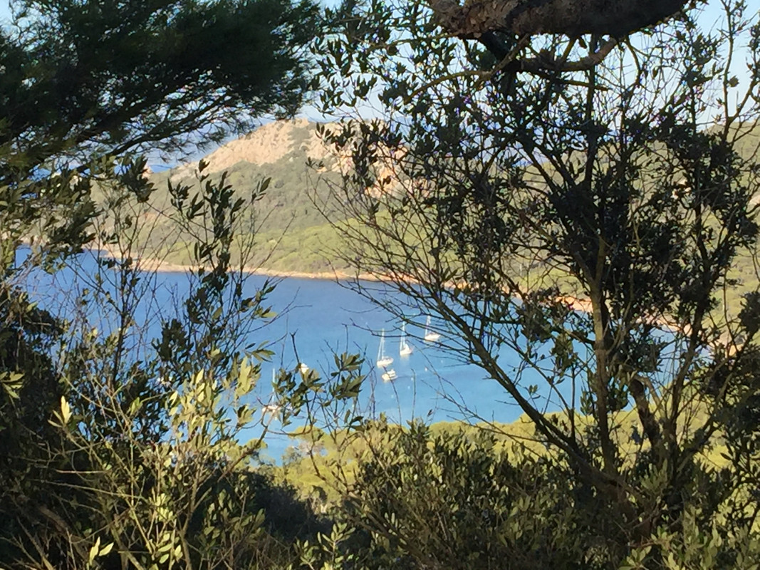 2C977633-4261-4A8B-90D6-BCB6418A66C4