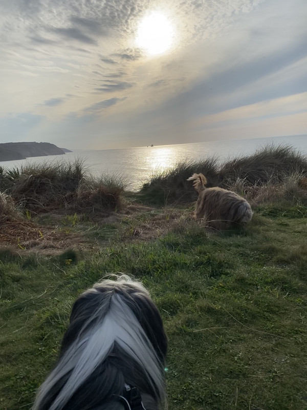 1DEDB6C5-5289-4868-9015-4018A09CD7CC