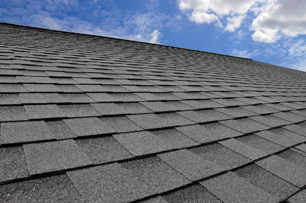 Flat & Tile Roofing Service