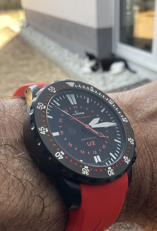 79CAC0B4-EA9B-454B-8038-A7CC406ED9C0