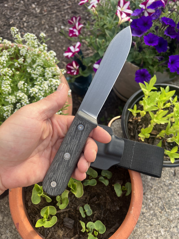 039BBEC7-D0BB-45FD-B0BE-4ABCB1309FAF